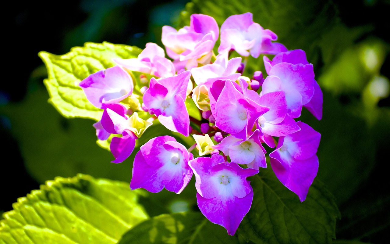 李景文將軍的最新動態(tài)，軍事生涯與卓越貢獻概述