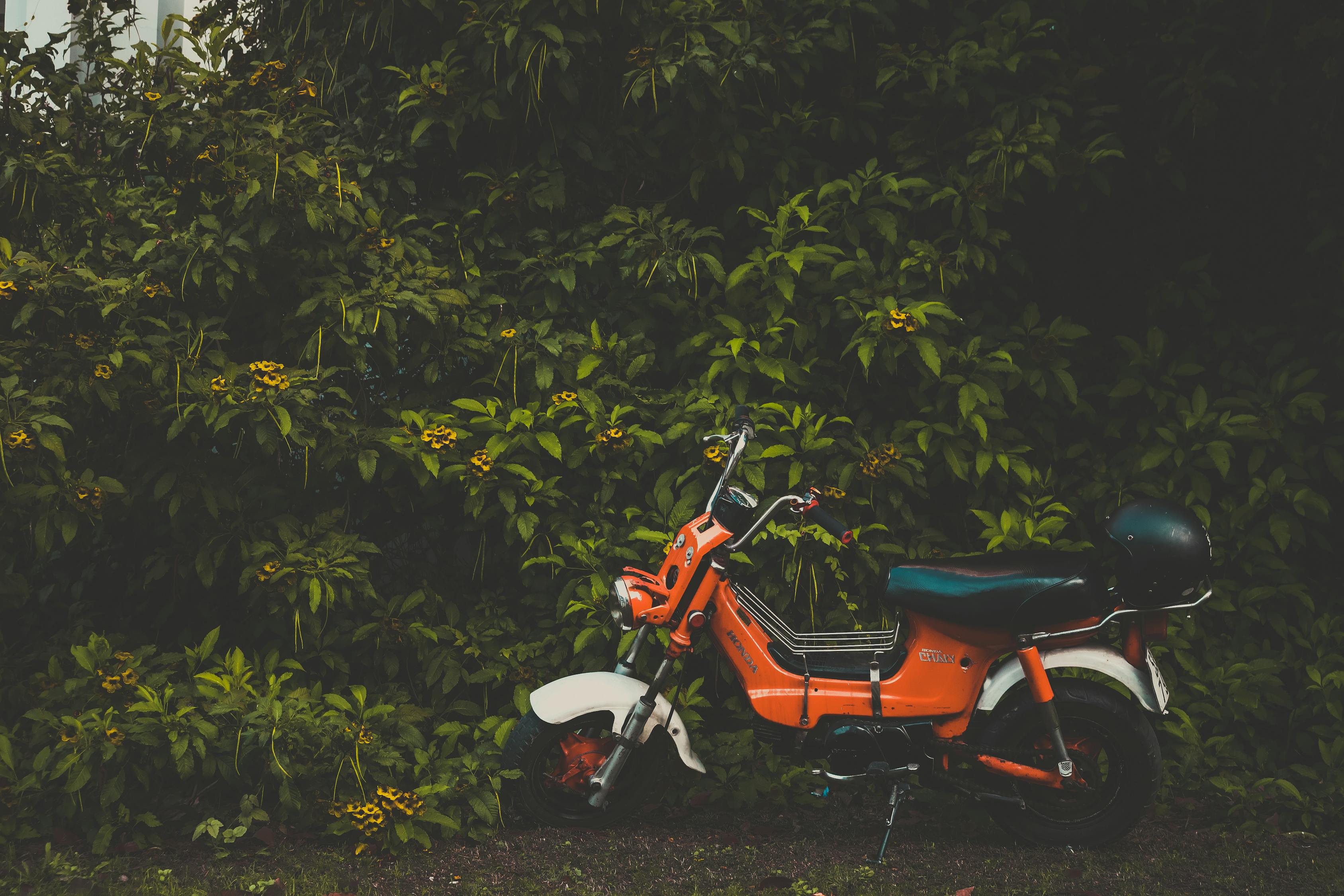 五羊本田鷙引領(lǐng)新時(shí)代摩托車技術(shù)革新，最新消息揭秘