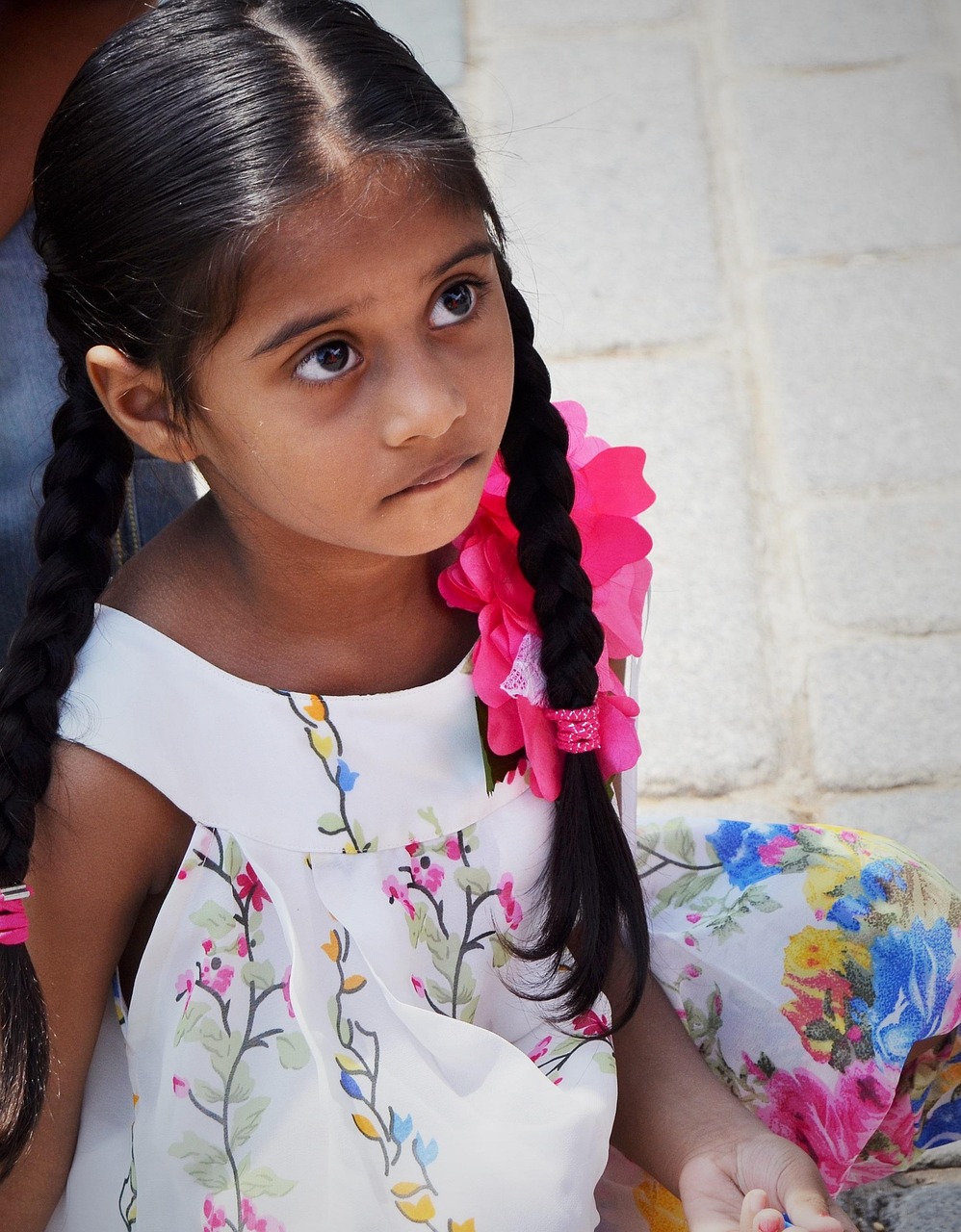 張佳寧最新力作電視劇，品質(zhì)與魅力的完美融合