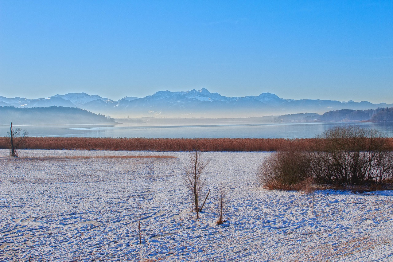 揭秘，關于1977年1分硬幣的最新消息與動態(tài)分析