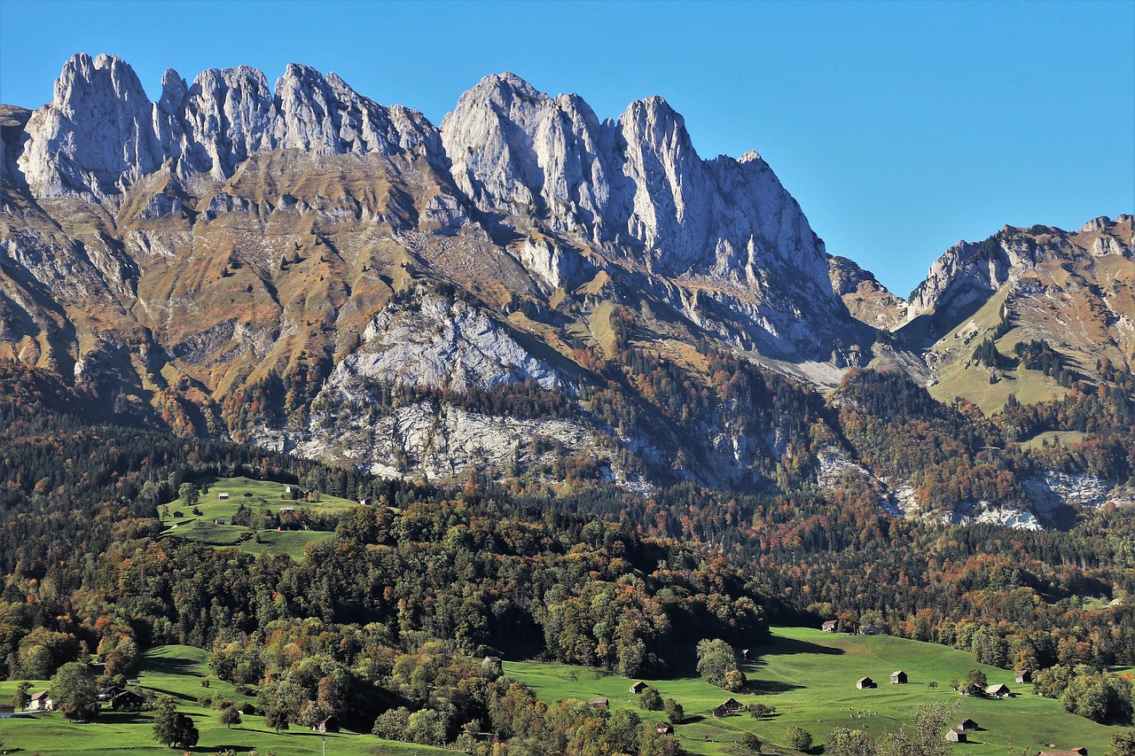 灃西新城資村發(fā)展最新動態(tài)，脈絡(luò)、展望與未來趨勢