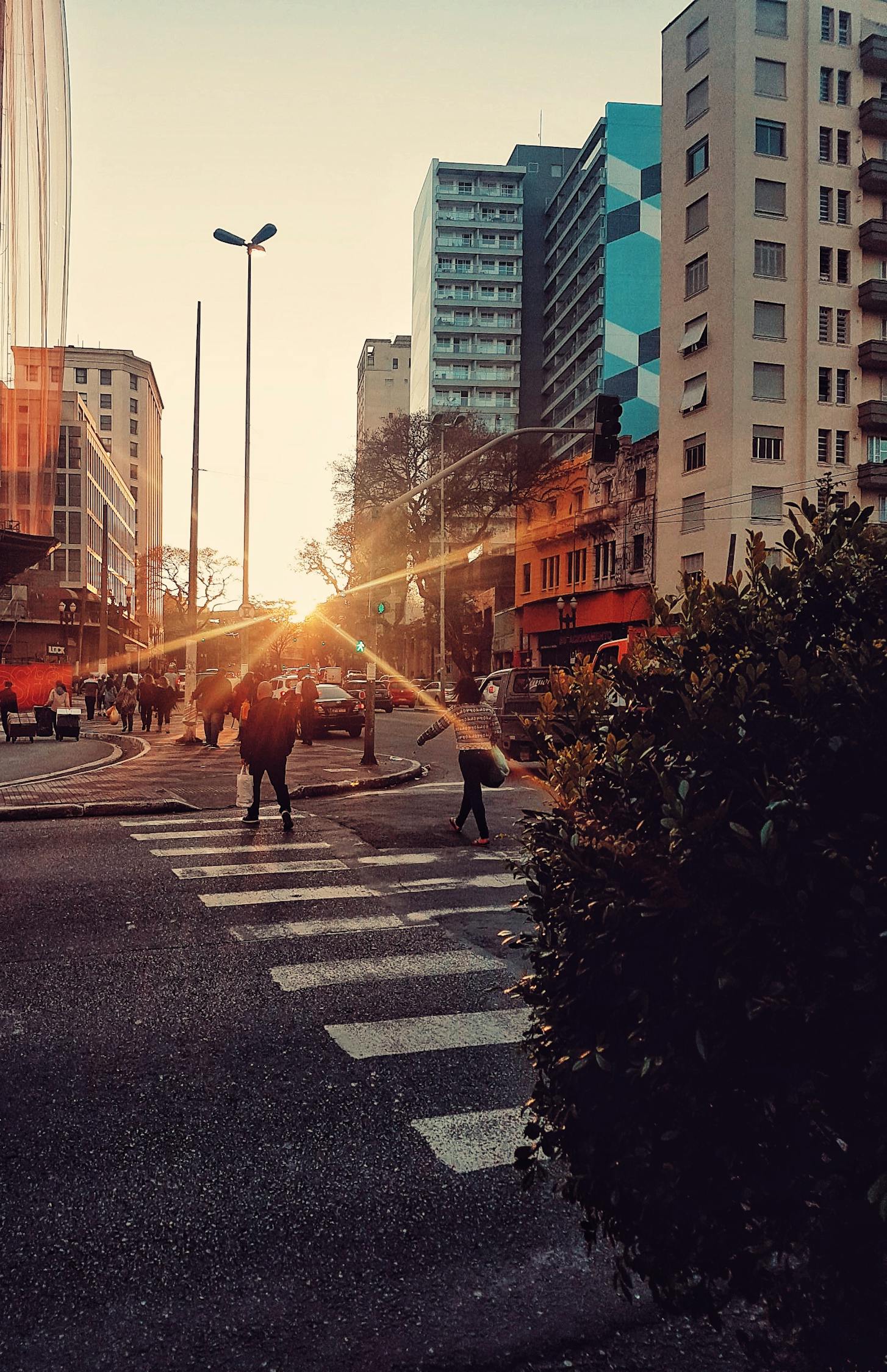 漯河市西城區(qū)繁榮崛起，城市新篇章揭秘發(fā)展動態(tài)