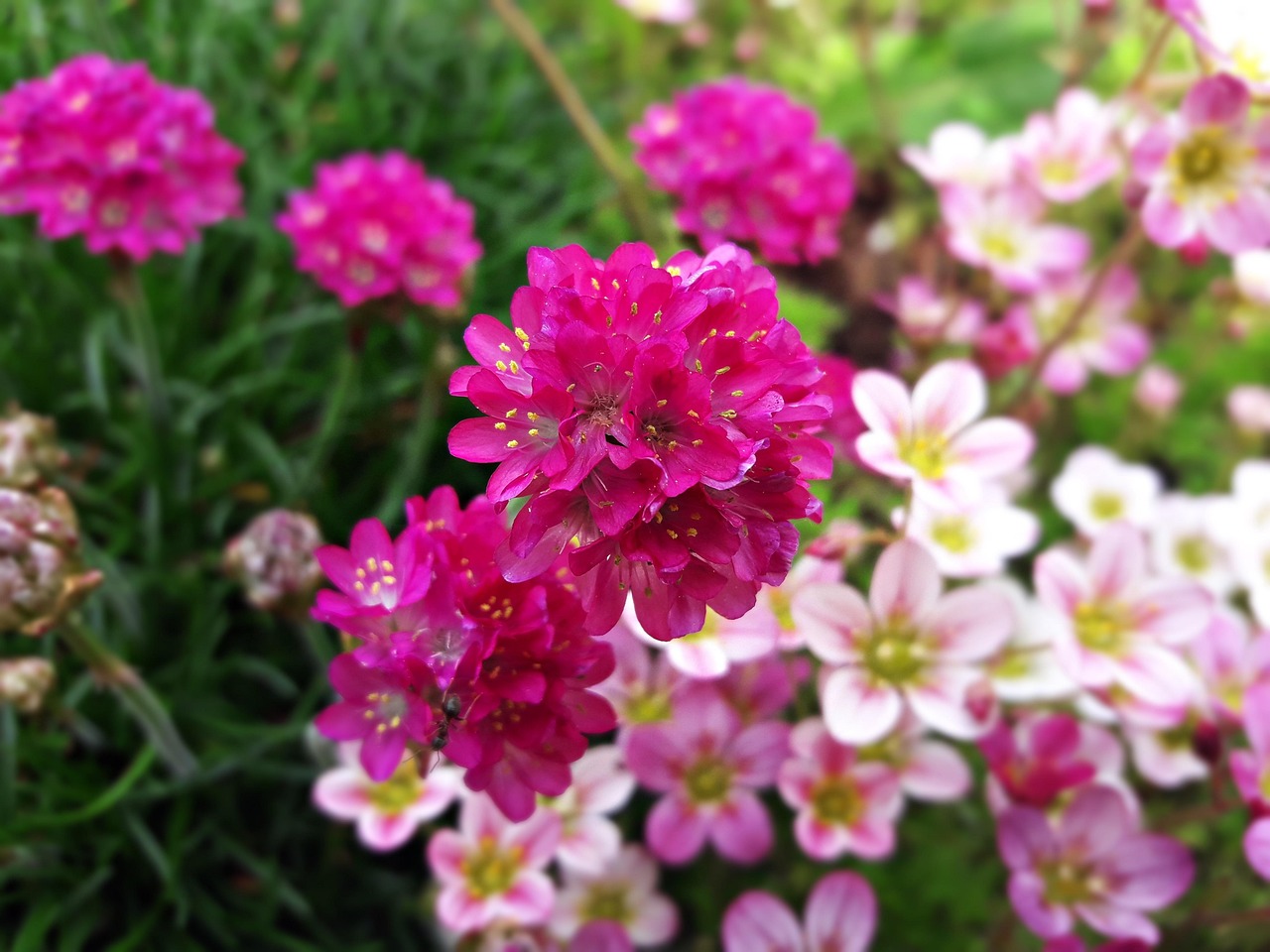 BX7寶沃6六座車型的創(chuàng)新發(fā)展及最新動態(tài)