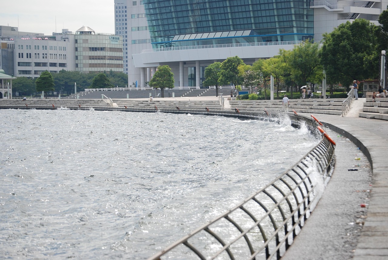 鄭州海昌海洋公園最新動態(tài)揭秘，揭開神秘面紗，展現(xiàn)海洋魅力奇觀
