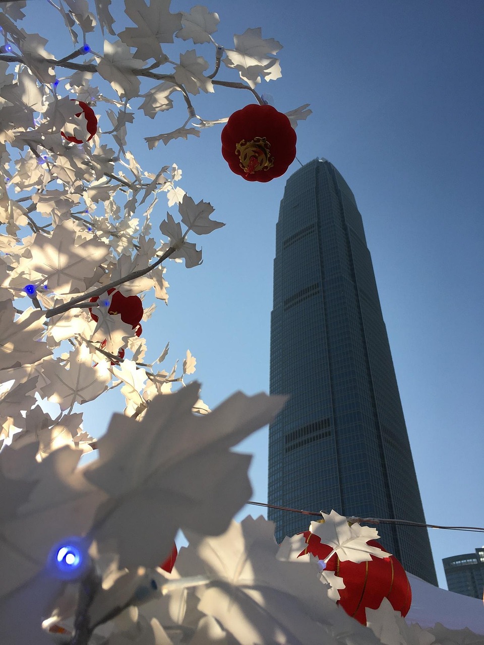 漫漫長(zhǎng)夜新版本砍樹(shù)探索，全新體驗(yàn)之旅