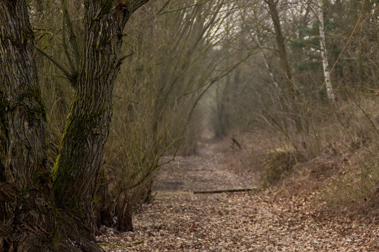 北京農(nóng)貿(mào)市場最新價(jià)格表及動(dòng)態(tài)更新