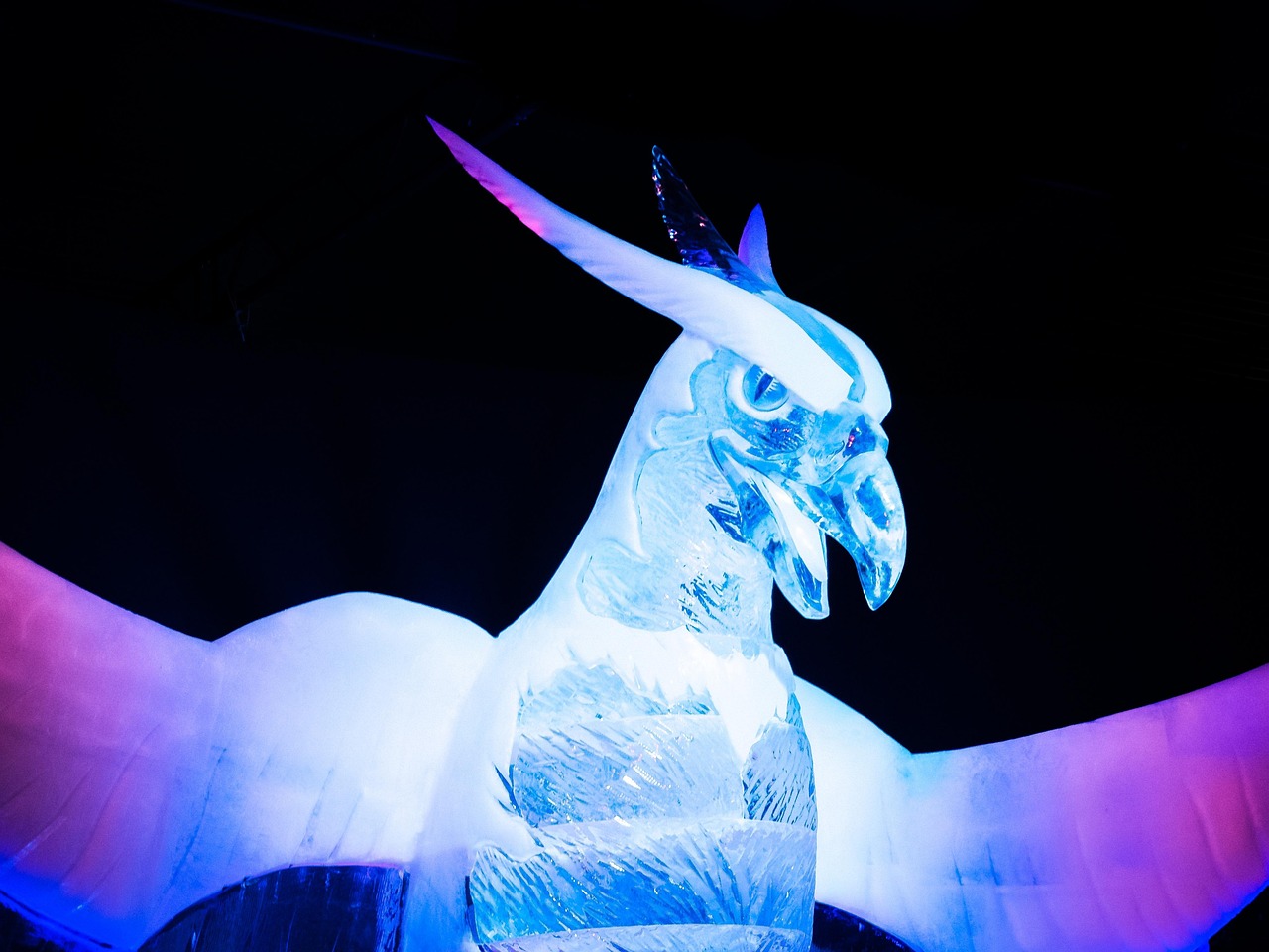 內(nèi)蒙古王東偉最新動(dòng)態(tài)，揭開(kāi)神秘面紗，展現(xiàn)新時(shí)代風(fēng)采