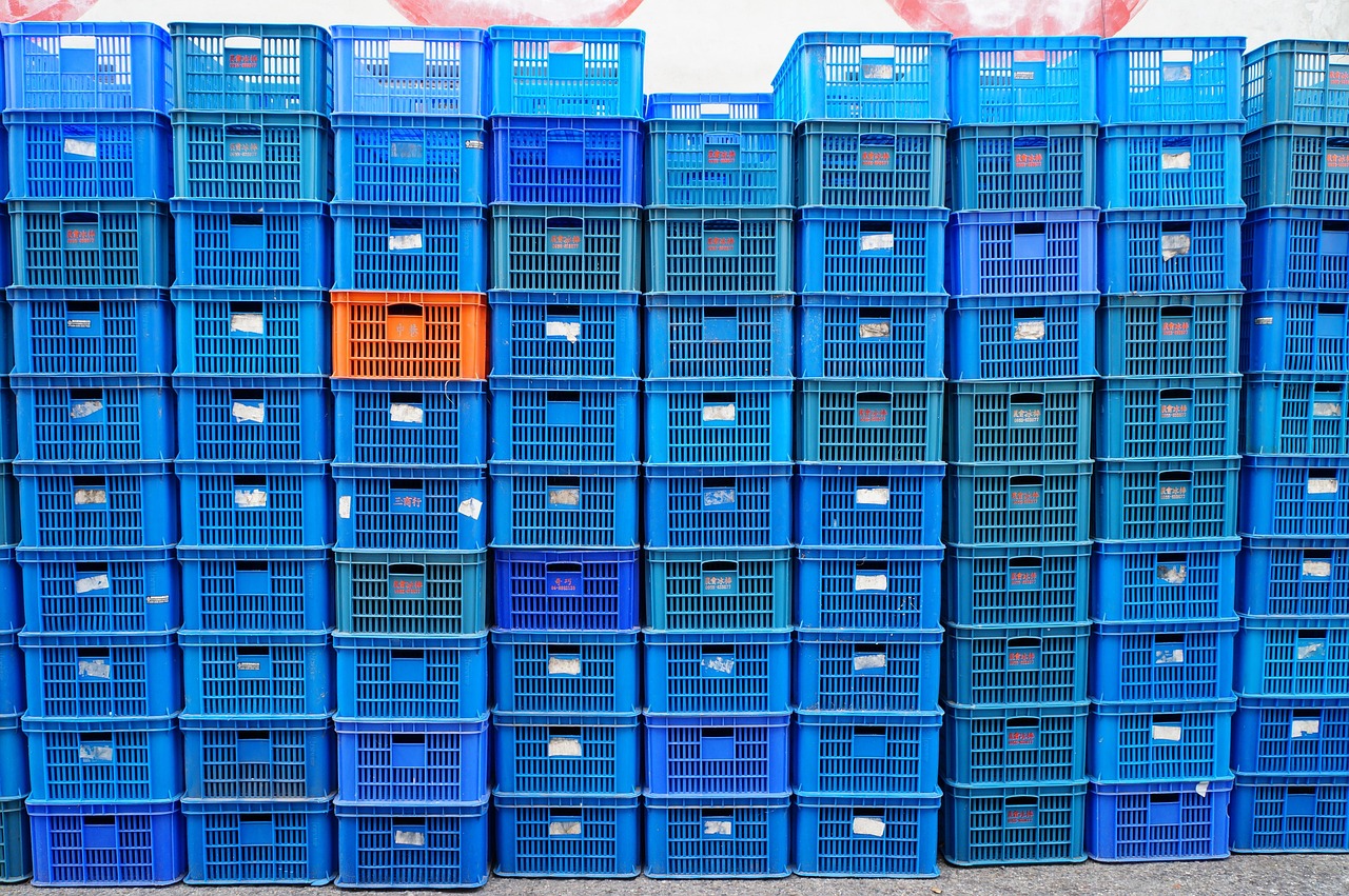 平頂山單知偉，城市發(fā)展的見證者與創(chuàng)新引領(lǐng)者的最新動(dòng)態(tài)