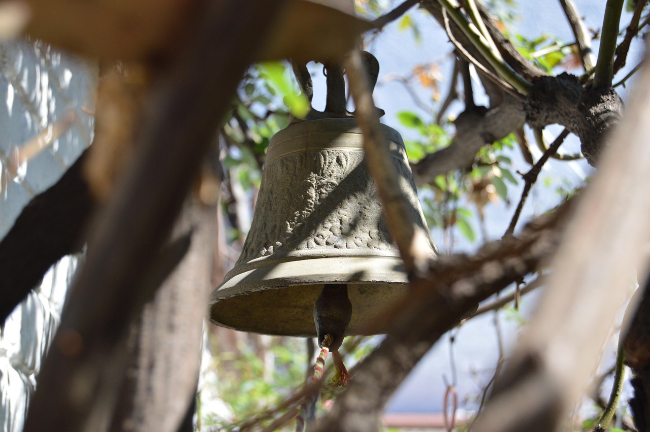 仙居二手房市場(chǎng)最新動(dòng)態(tài)與房源更新，最新出售房源匯總