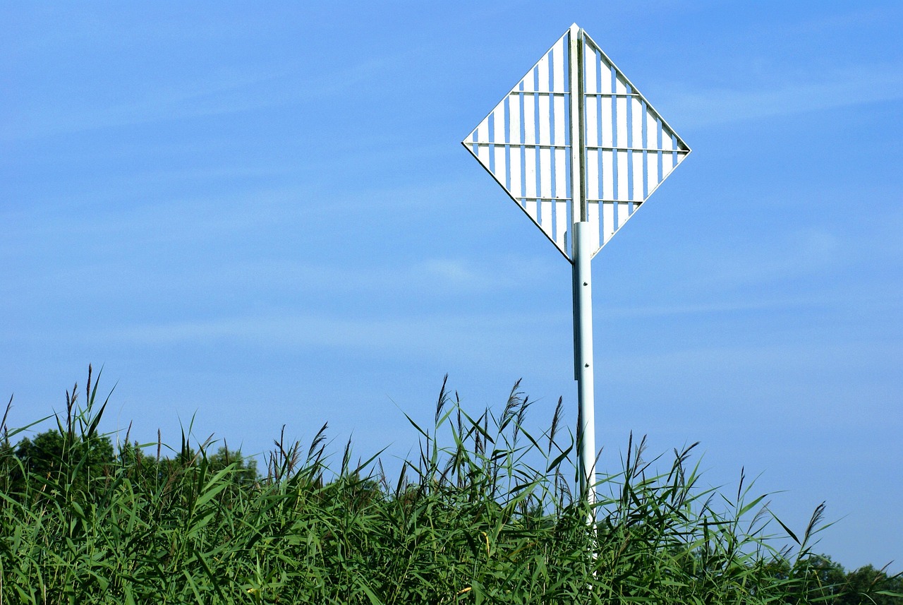 最新水家湖二手房市場分析與出售指南，房源、價格及策略全解析