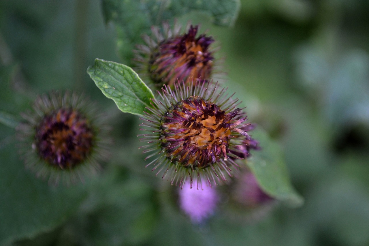 蕪湖市三山區(qū)最新招聘信息概覽，最新職位與招聘動態(tài)全解析