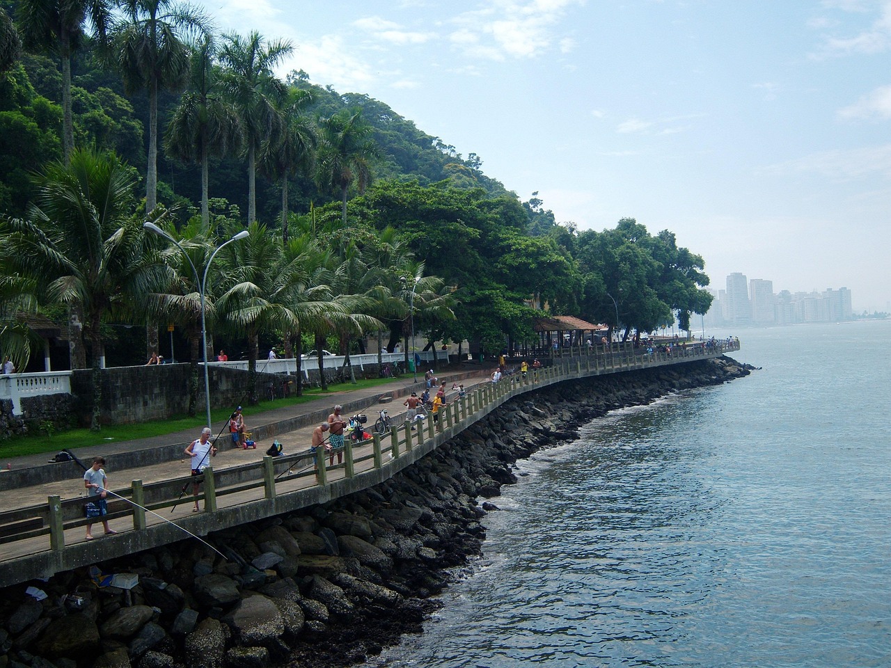 最新打魚(yú)平臺(tái)，探索現(xiàn)代漁業(yè)的新領(lǐng)域