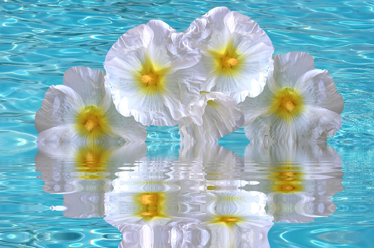 加勒比海域動態(tài)更新，海盜活動頻繁，警惕性需提升（最新報告 06月15日）