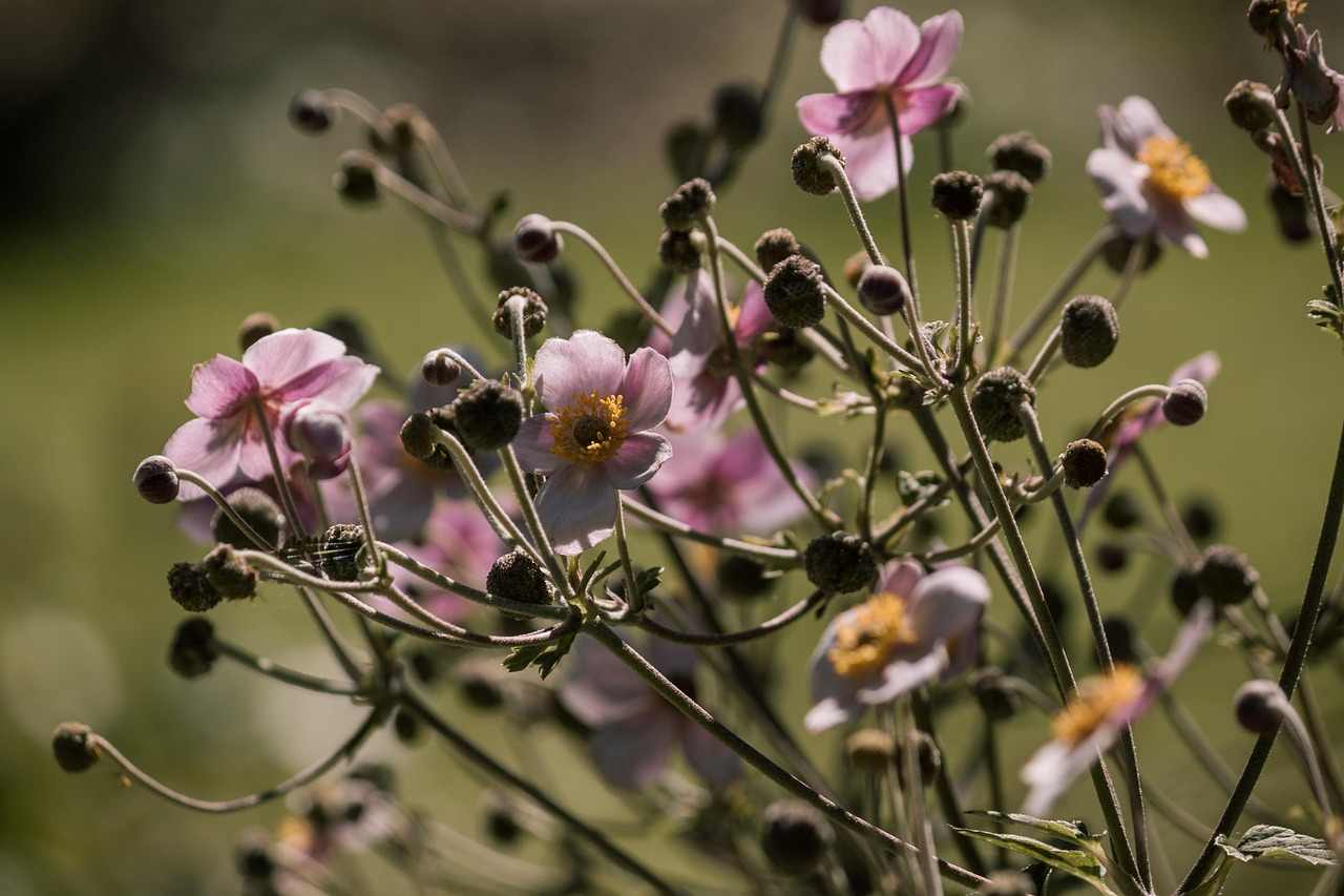 最新獲取信息資源及其影響，探索前沿領(lǐng)域的最新動態(tài)