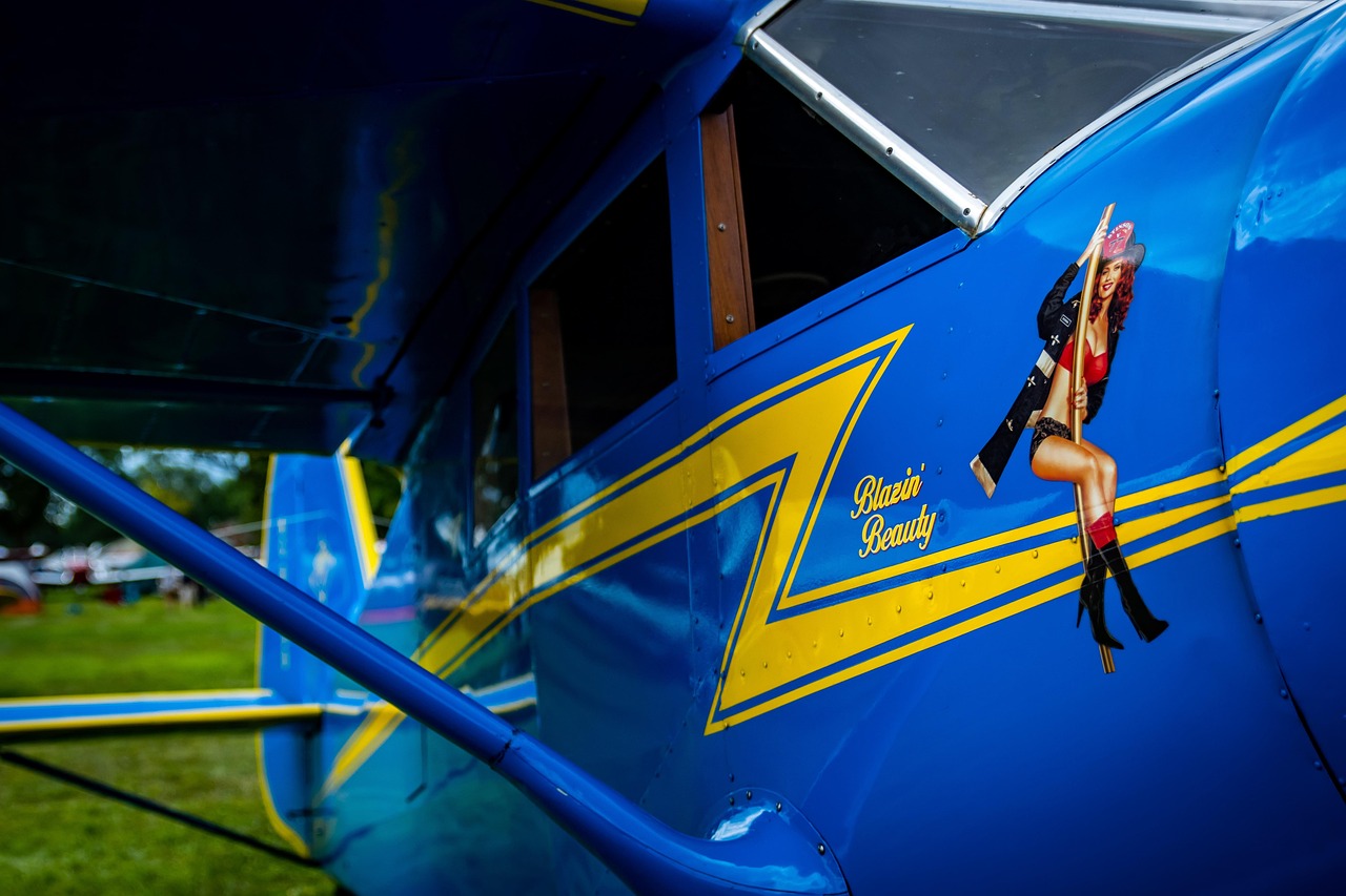 革新觀影體驗，最新視頻app帶你飛！