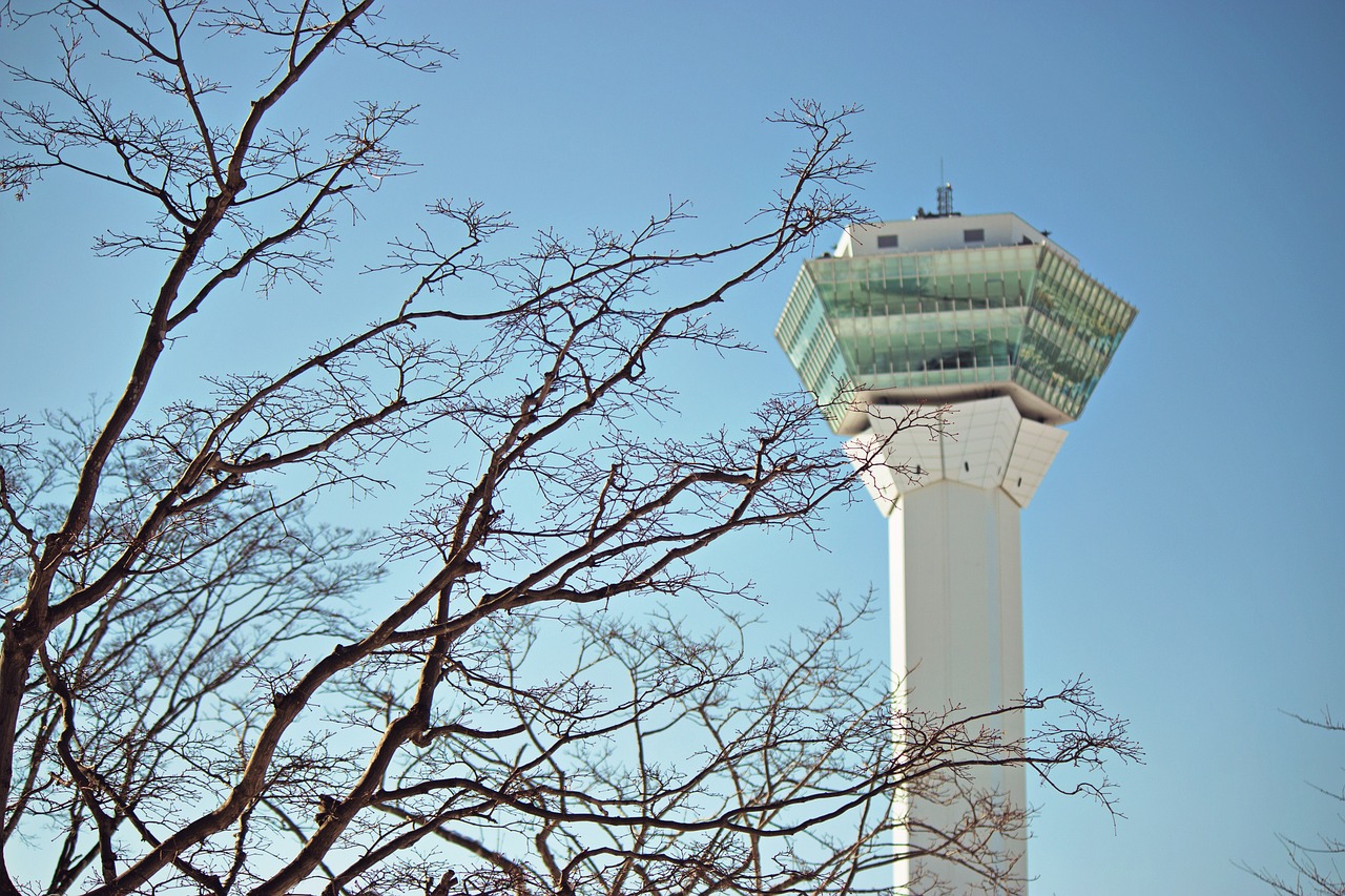 決斗之城最新動(dòng)態(tài)，新時(shí)代卡牌競(jìng)技盛宴揭秘